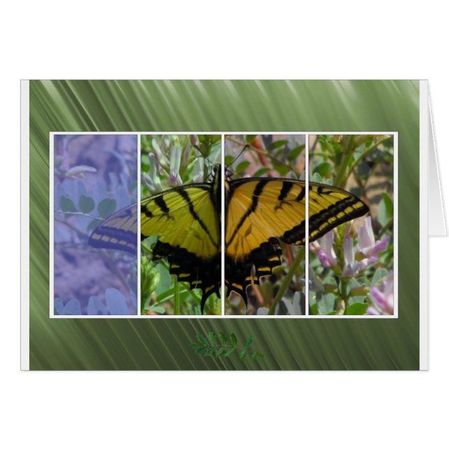 Cartão Borboleta multicolorida (Frente Horizontal)