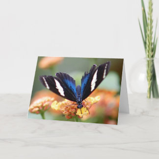 Cartão Borboleta na flor