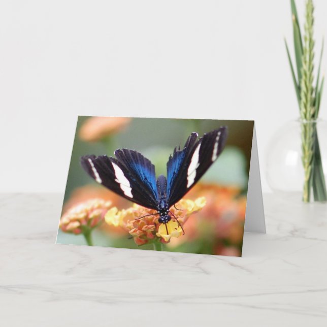 Cartão Borboleta na flor (Frente)