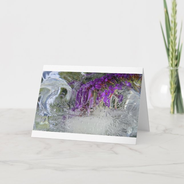 Cartão Borboleta Negra Frita Bush, (Frente)