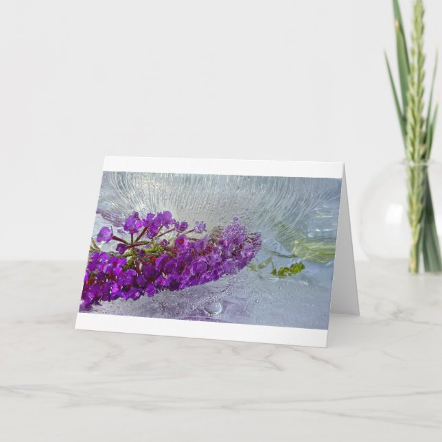 Cartão Borboleta Negra Frita Bush, (Frente)