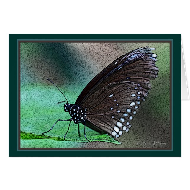 Cartão Borboleta no Aqua (Frente Horizontal)