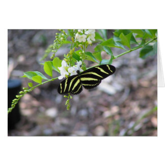 Cartão Borboleta no Resto