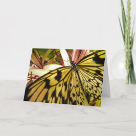 Cartão Borboleta Notecard