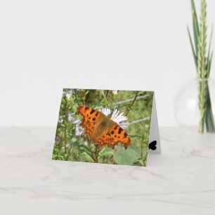 Cartão Borboleta Notecard - Vírgula
