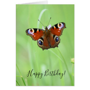Cartão Borboleta Peacock