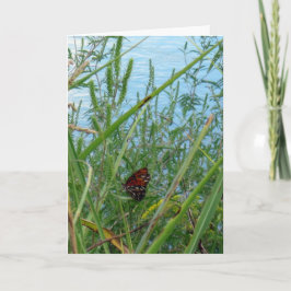 Cartão Borboleta perto do rio