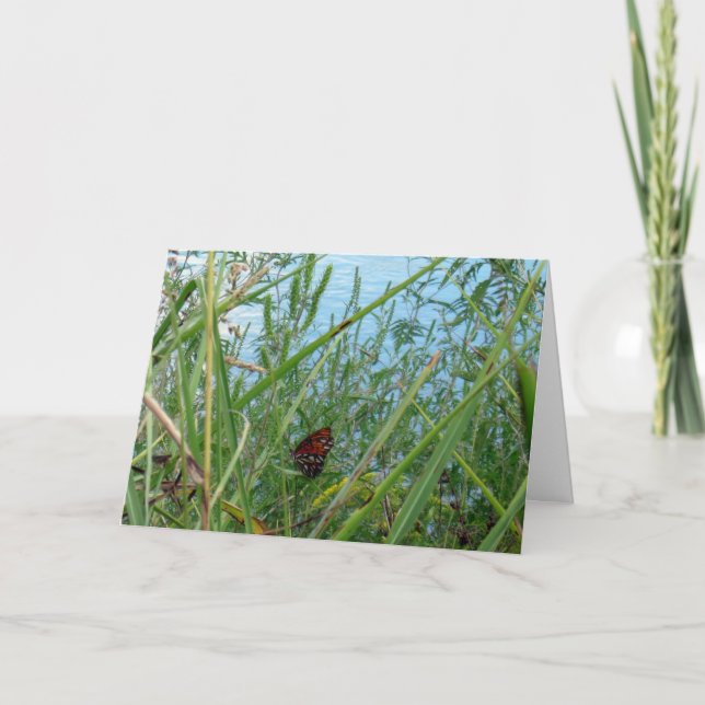 Cartão Borboleta perto do rio (Frente)