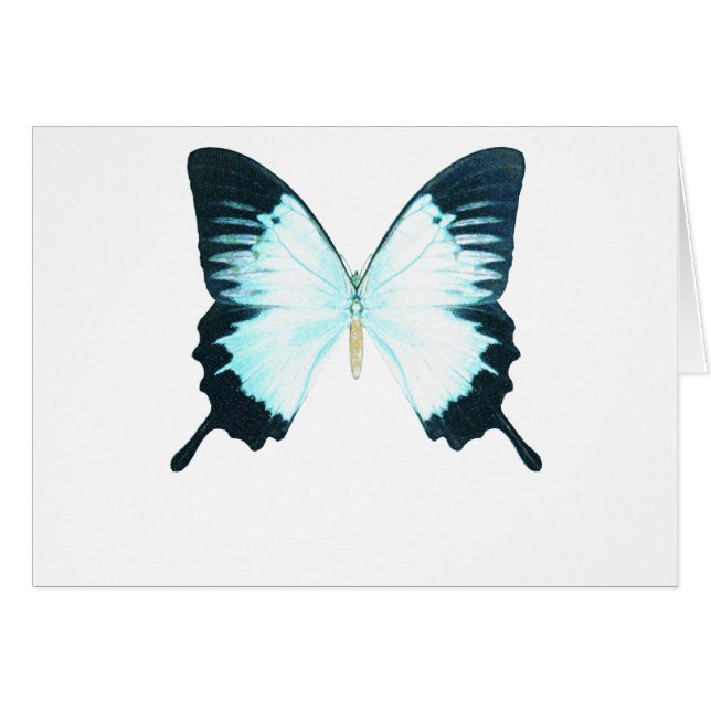 Cartão Borboleta real do pavão (Frente Horizontal)