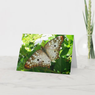 Cartão Borboleta sobre Fotografia da Natureza Tropical de
