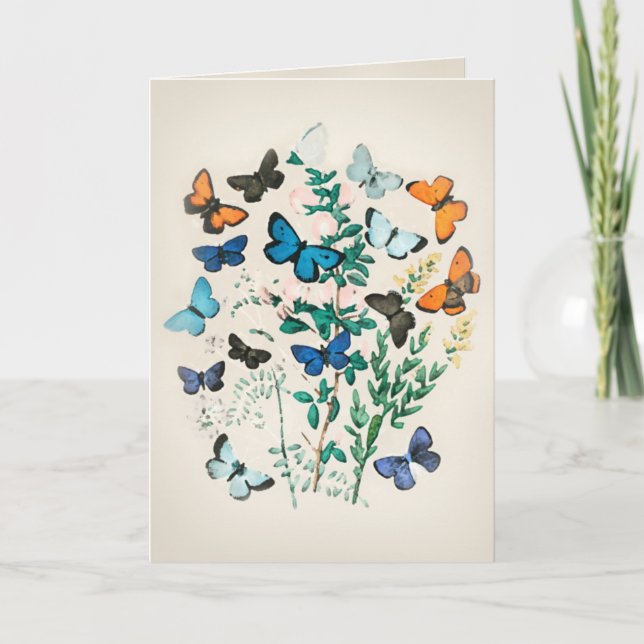 Cartão Borboleta Vintage Aquarela  (Frente)
