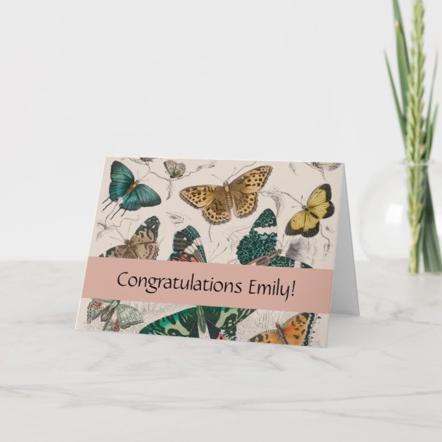 Cartão Borboletas Antigas de Coleção de Borboletas (Frente)