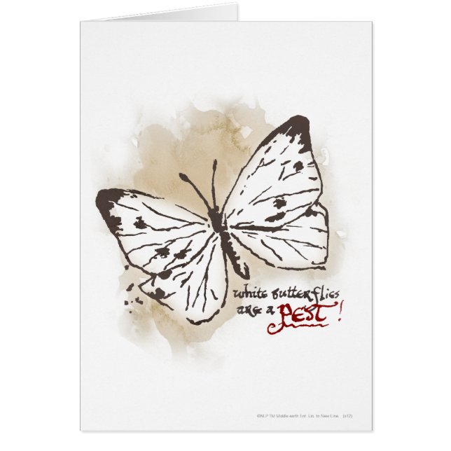 Cartão Borboletas brancas são uma presa (Frente)