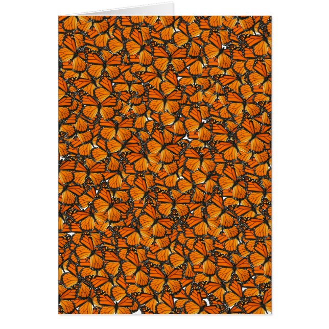 Cartão Borboletas de monarca (Frente)