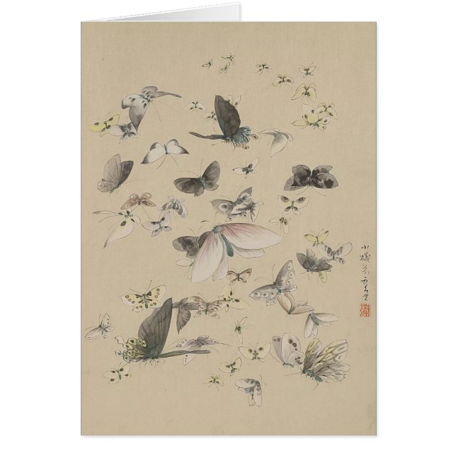 Cartão Borboletas e marés (Frente)