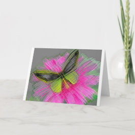 Cartão Borboletas Monarcas