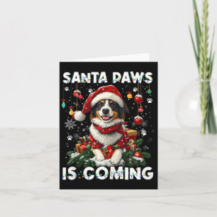 Cartão Borda Collie Árvore de Natal Decorações Cachorros