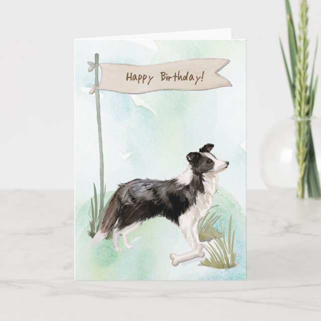 Cartão Borda Collie Dog Sob Sinal De Aniversário (Frente)