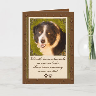 Cartão Borda Collie Pet Simpatia Perda de Cão
