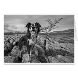 Cartão Borda na vigia