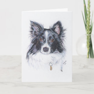 Cartão Border Collie