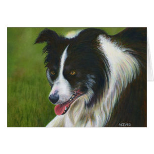 Cartão Border collie