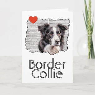 Cartão Border Collie