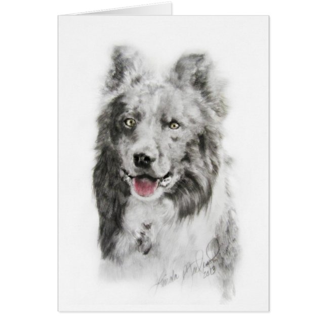 Cartão Border collie (Frente)