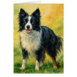 Cartão Border Collie