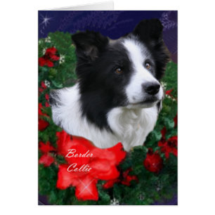Cartão Border Collie Christmas