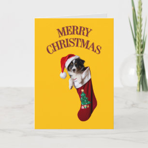 Cartão Border Collie Christmas Stocks