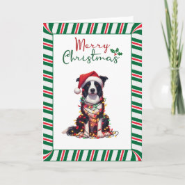 Cartão Border Collie Envolvido em Luzes de Natal