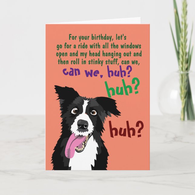 Cartão Border Collie Funny Birthday Card for Dog Owner   (Frente)
