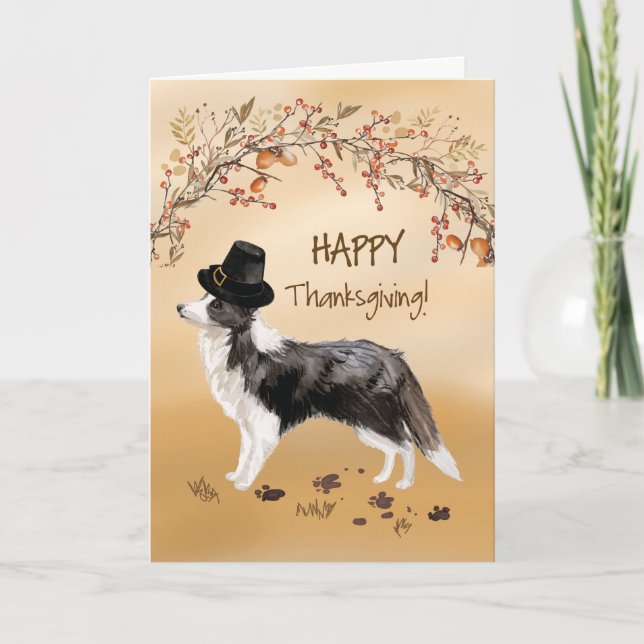 Cartão Border Collie Funny Pilgrim Hat Ação de Graças (Frente)