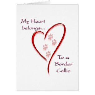 Cartão Border Collie Hearts Pertence