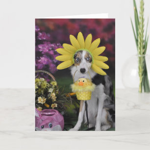 Cartão Border Collie Mother's Day Card