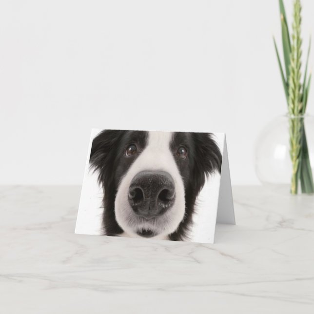 Cartão Border collie Notecard (Frente)
