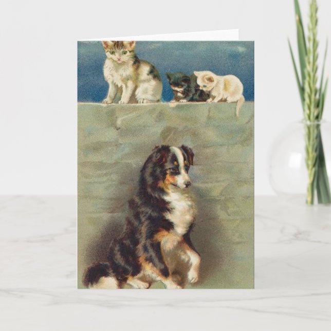 Cartão Border collie Notecard (Frente)