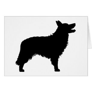 Cartão Border collie (preto)