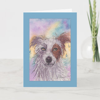 Cartão Border collie vermelho & branco, gotejamento