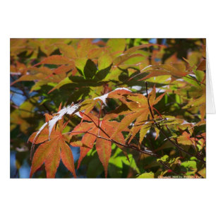 Cartão Bordo japonês