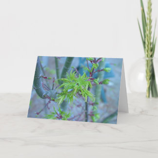 Cartão Bordo japonês da juba do leão