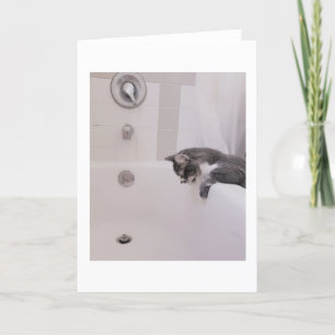 Cartão Boris, a saudação do Gatinho de Nubber