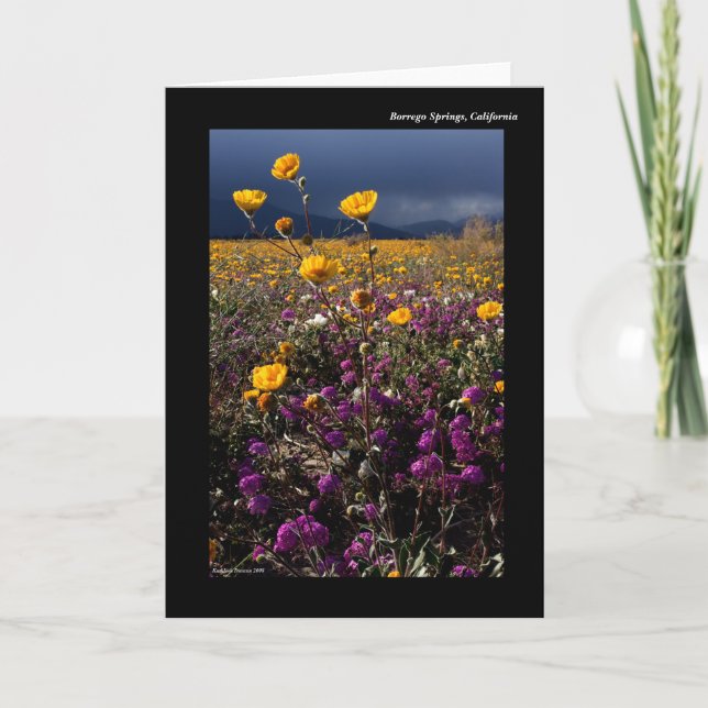 Cartão Borrego Primavera, Califórnia (Frente)
