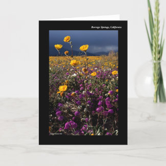 Cartão Borrego Primavera, Califórnia