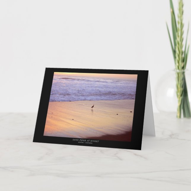 Cartão Borrelho no por do sol: Praia de Ventura (Frente)