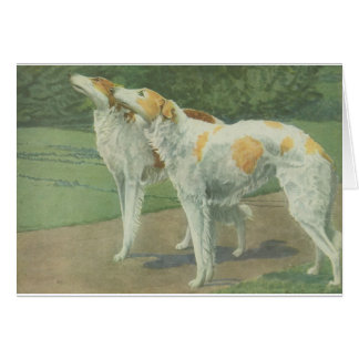 Cartão Borzoi (Wolfhound do russo)