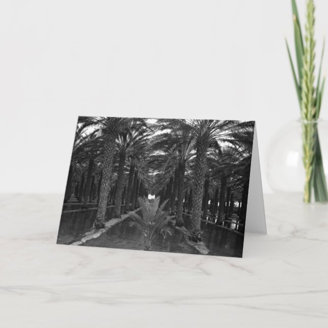 Cartão Bosque da palma de data durante Irrigação, 1966 (Frente)