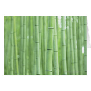 Cartão Bosque de bambu