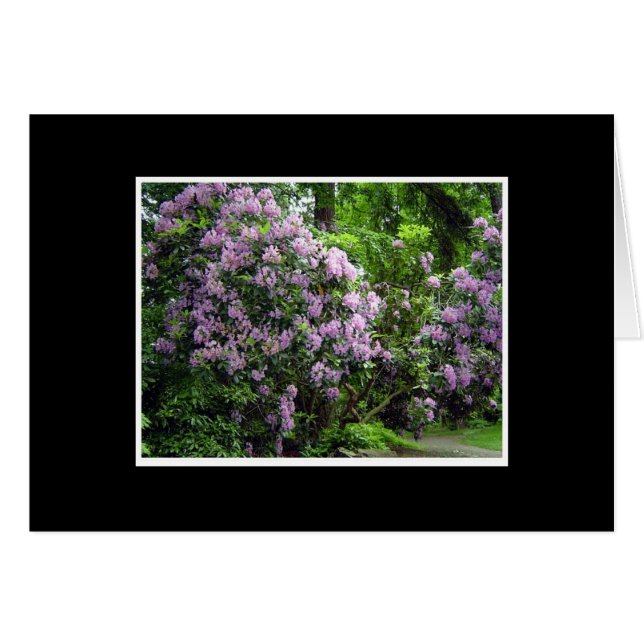 Cartão Bosque de Rhododendron (Frente Horizontal)